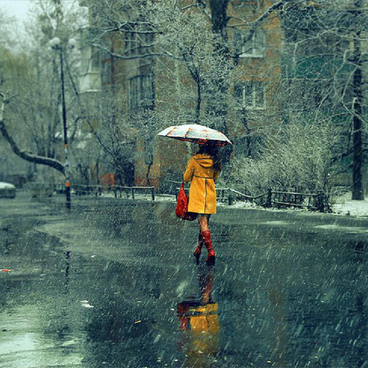 Дождливый день. Осень дождь. Девушка с зонтом. Пасмурный день.