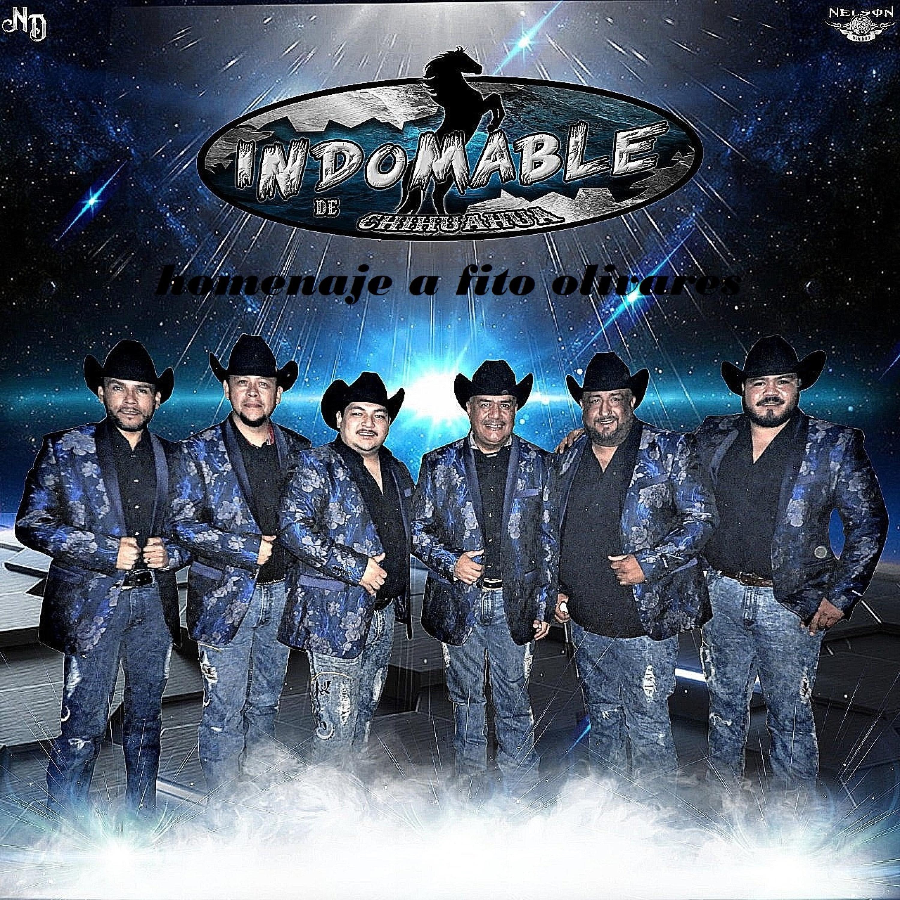 Homenaje a Fito Olivares - Single