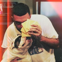 Cash, Paper, Cheddah, Cheese - Single - Doddy Gatz