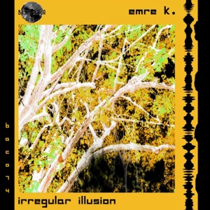Irregular Illusion - Single