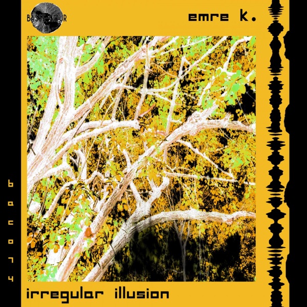 Irregular Illusion - Single