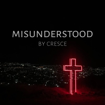 Misunderstood - Single