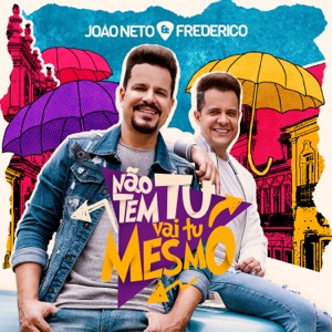 Não Tem Tu, Vai Tu Mesmo - Single
