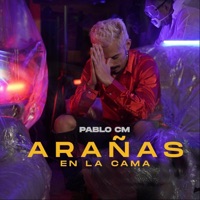 Arañas en la Cama - Single - Pablo CM