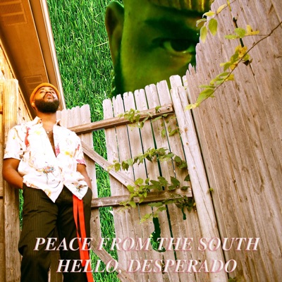 Peace from the South - Single