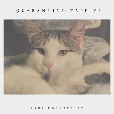 Quarantine Tape 6