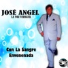 Angel Rojas Rosas Rojas Con La Sangre Envenenada