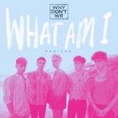 What Am I (Remixes) - EP artwork