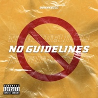 No Guidelines - Single - DonnySolo