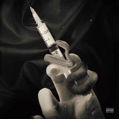 Pay the Fee - Single