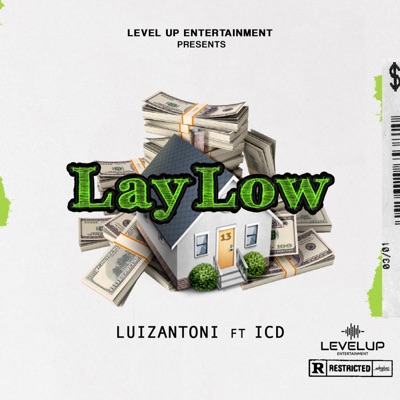 Lay Low (feat. ICD) - Single