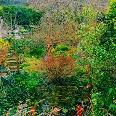 Alone in a Dying Garden - Single