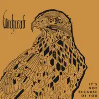 It's Not Because of You — Witchcraft