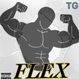 Flex TG