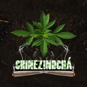 Chinezindechá (feat. Sinflownia) - Single