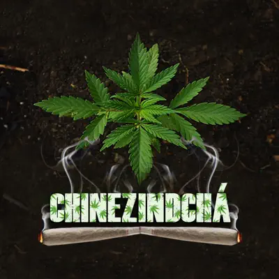 Chinezindechá (feat. Sinflownia) - Single - Nocivo Shomon