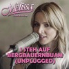 I steh auf Bergbauernbuam (Unplugged) - Single