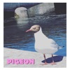 Pigeon - EP