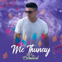 Tbt no Carnaval - Single - Mc Thunay