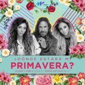 ¿Dónde Estará Mi Primavera? (feat. Marco Antonio Solís) artwork