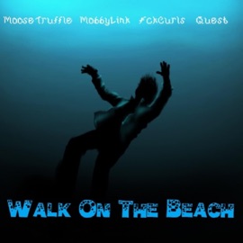 Walk on the Beach (feat. 04 Kashii & Quest) Moose Truffle