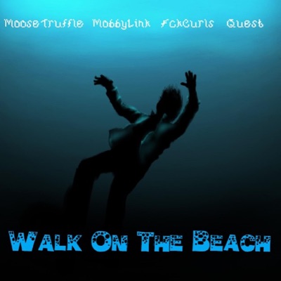 Walk on the Beach (feat. 04 Kashii & Quest) - Single