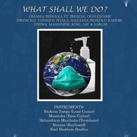 What Shall We Do? (feat. 2real SA, Ouji Champ, Drencko, Tonique Phala, Nazania Noxolo Radebe, Zodwa Mashinini, King Jay & Sargee) Omama Besxaxa