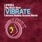 Vibrate (Jerome Robins Groove Remix) - Big Black Boot lyrics