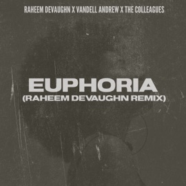 Euphoria (Raheem DeVaughn remix) Raheem DeVaughn, Vandell Andrew & The Colleagues