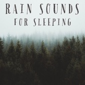 Rain Sounds For Sleeping artwork