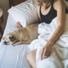 Brown Noises for Sleep Well - Brown Noise Baby SND