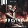 Survive Remix (DJ Justin Murta with Ovylarock feat. Shauna Cardwell) - EP