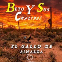 El Gallo de Sinaloa - Single - BETO & Sus Chalinos