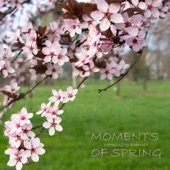 Moments Of Spring artwork