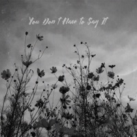 You Don't Have to Say It - Single - Certain214