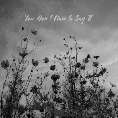 You Don't Have to Say It - Single