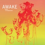 Awake - A Bird With No Word (feat. Romain Cuoq & Anthony Jambon)