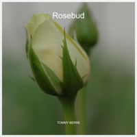 Rosebud - Single - Tommy Berre