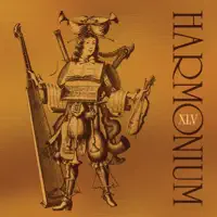 Un musicien parmi tant d'autres (Remastered) — Harmonium