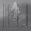 Neaera - Torchbearer