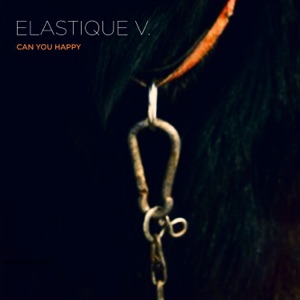 Can You Happy - Single