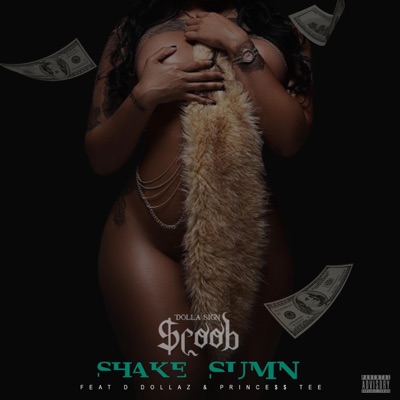 Shake Sumn (feat. D Dollaz & Prince$$ Tee) - Single