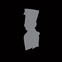 Into the Real - Ritzi Lee