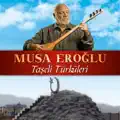 Karanfil Mengisi