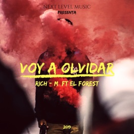 Voy a olvidar Rich M & Forest