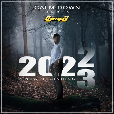 Calm Down Rmx (Radio Edit)