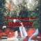 Insanity (feat. Rozayyy & $avo) - B Vuitton lyrics