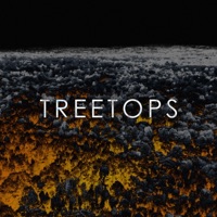 Treetops - Single - grayera