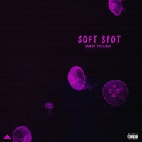 Soft Spot - Single - Sammy Pharaoh