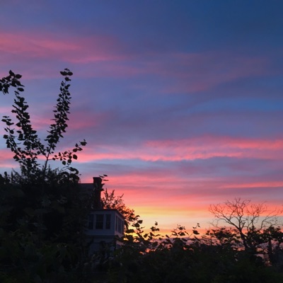 Baking Soda - Single